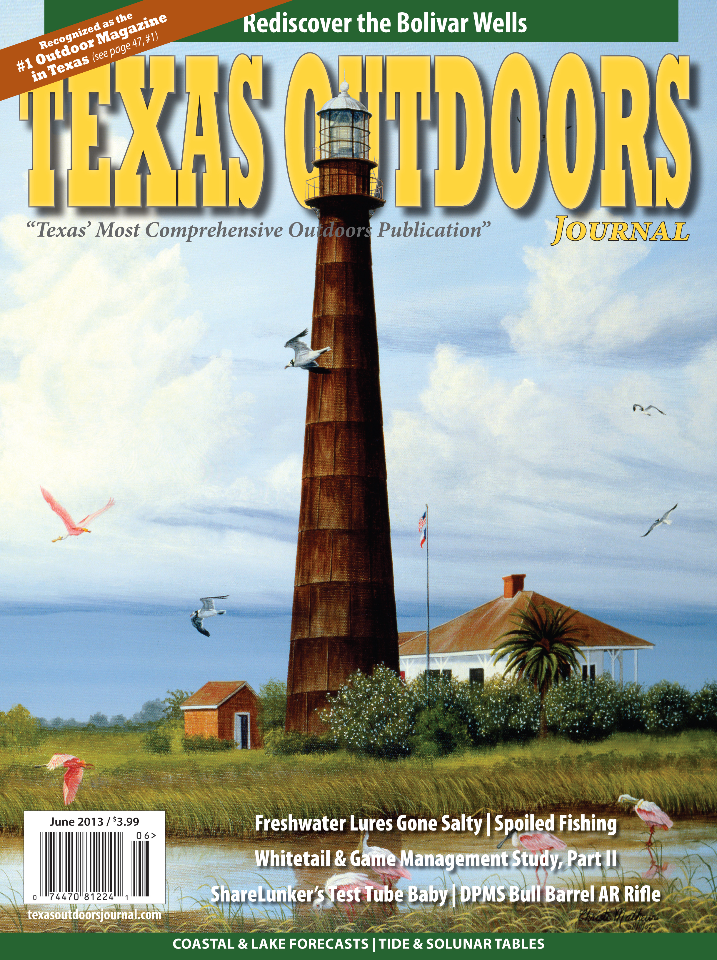 June 2013 Issue